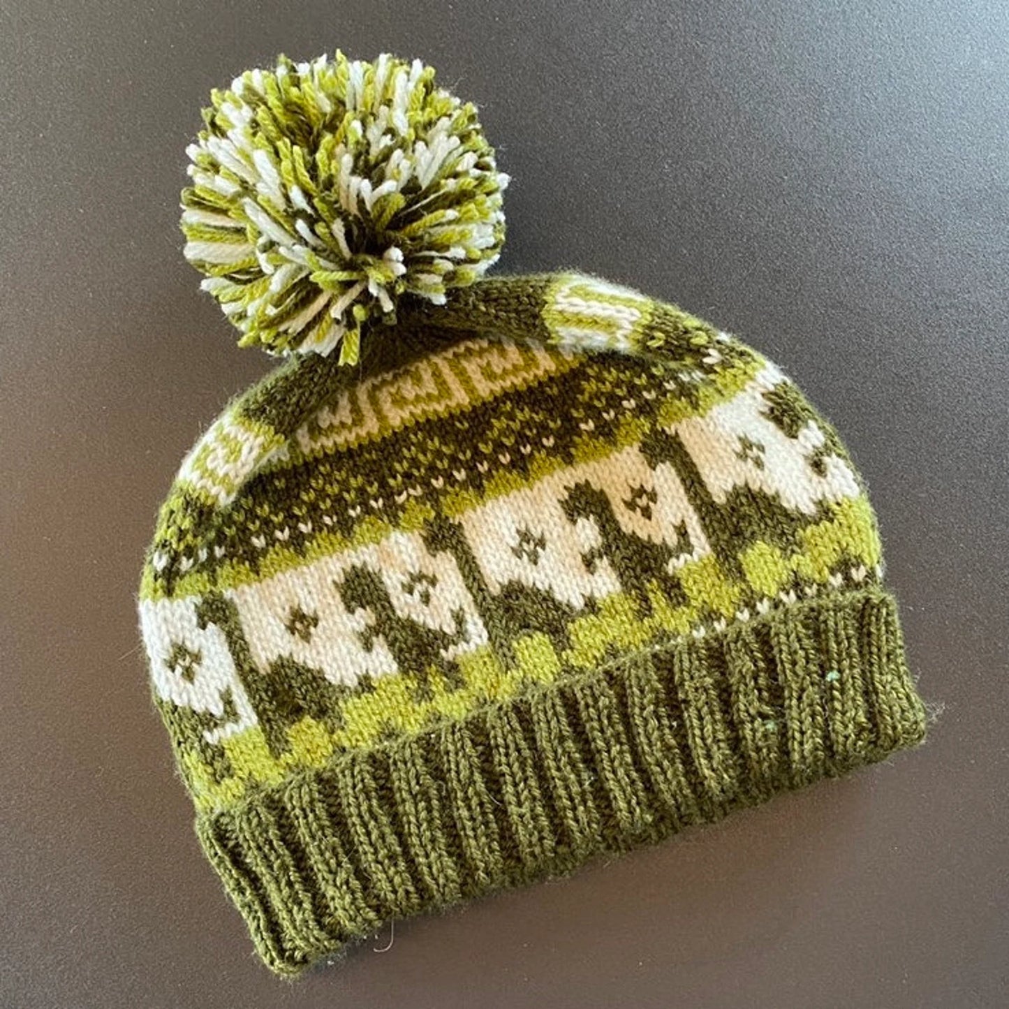 🦕 Dinosaur Knit Beanie Pattern – Fun, Easy & Warm!