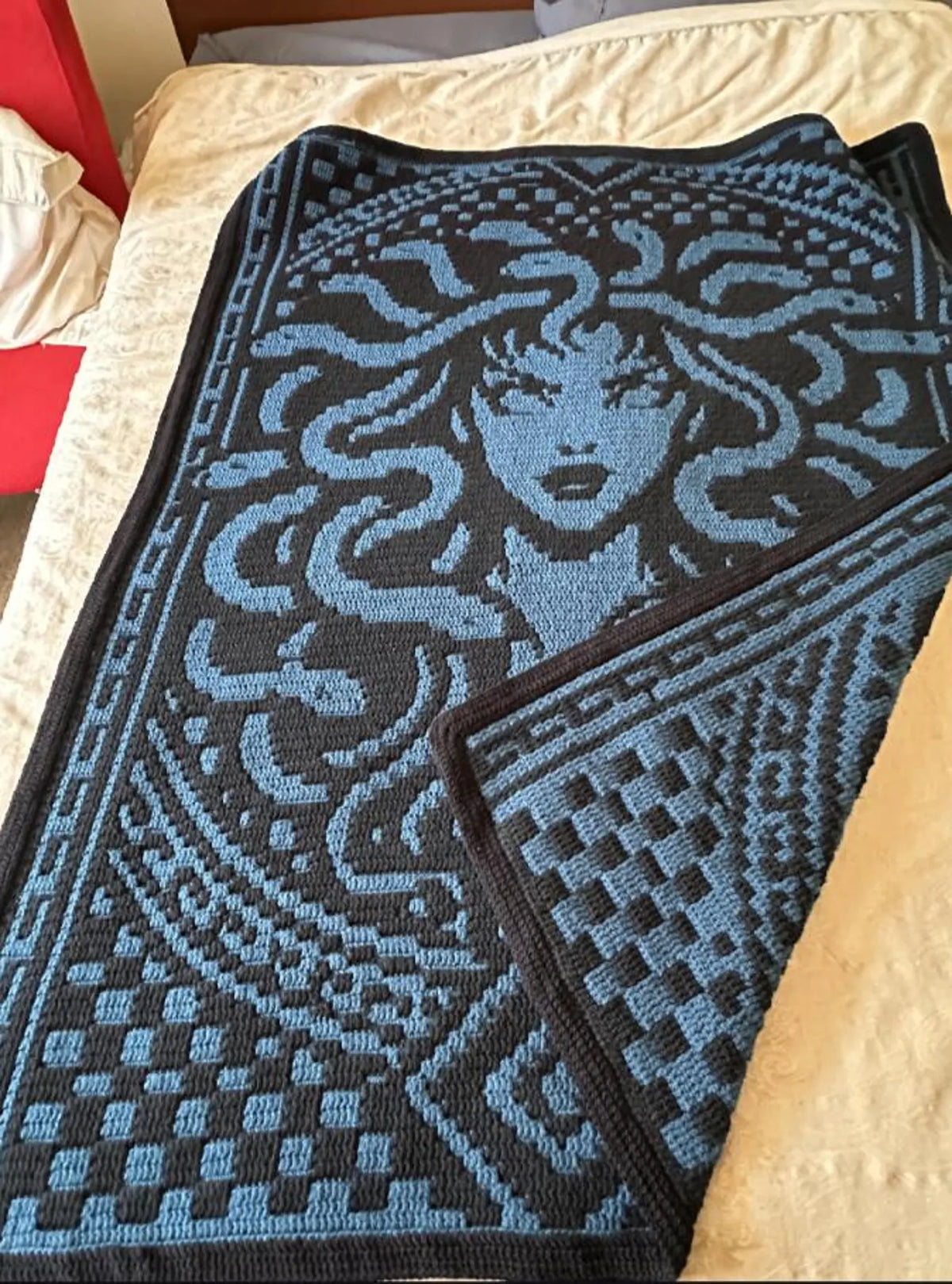 Medusa Mosaic Crochet Blanket Pattern | Grid & Written Instructions